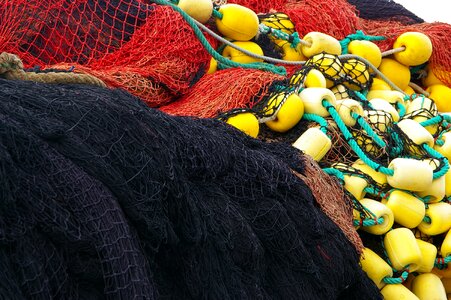 Port net fishing photo