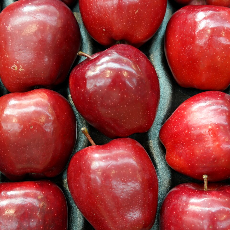 Fresh red apple red fruits