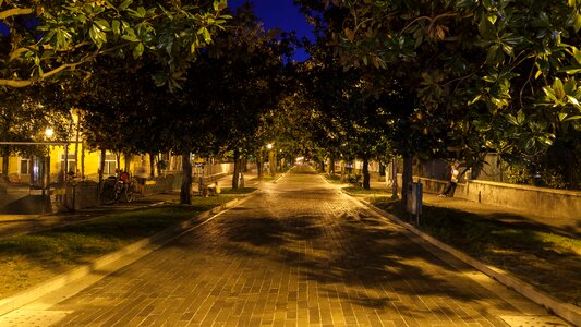 Night photograph avenue away