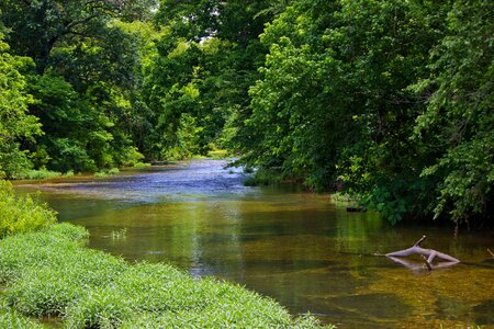 Trees picturesque riverbank
