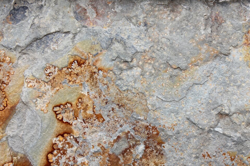 Texture rock nature