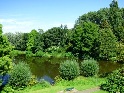 Bank rest green