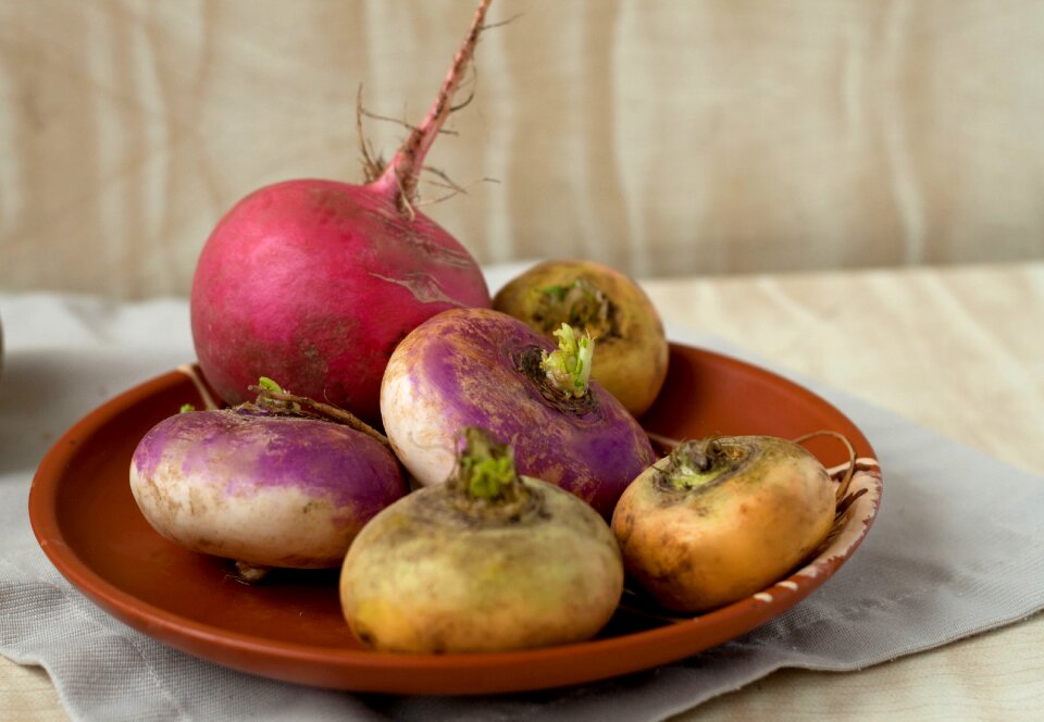 Radish plate autumn