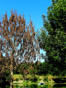 Nature landscape country of the loire