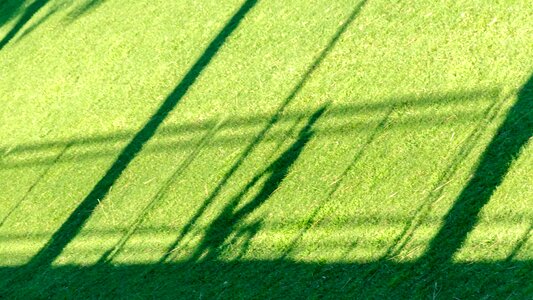 Shadow play meadow sun photo