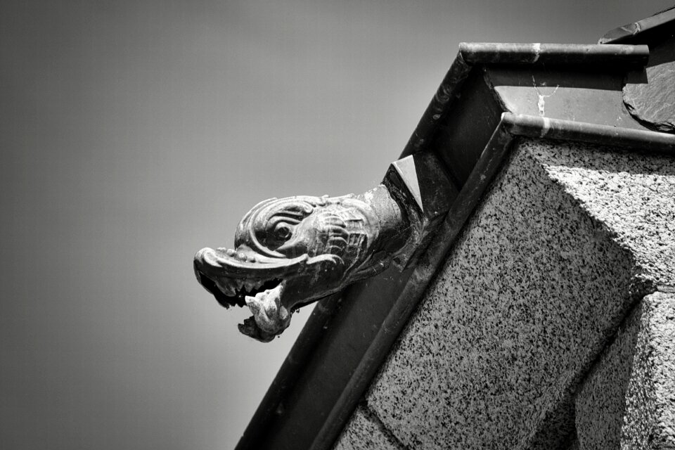 Roofing black and white blowpipe