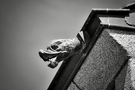 Roofing black and white blowpipe