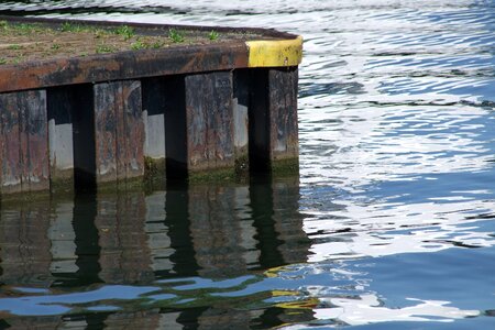Investors seaweed mirroring