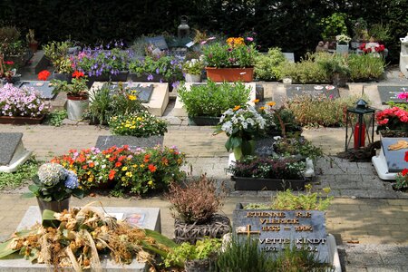 Flowers death