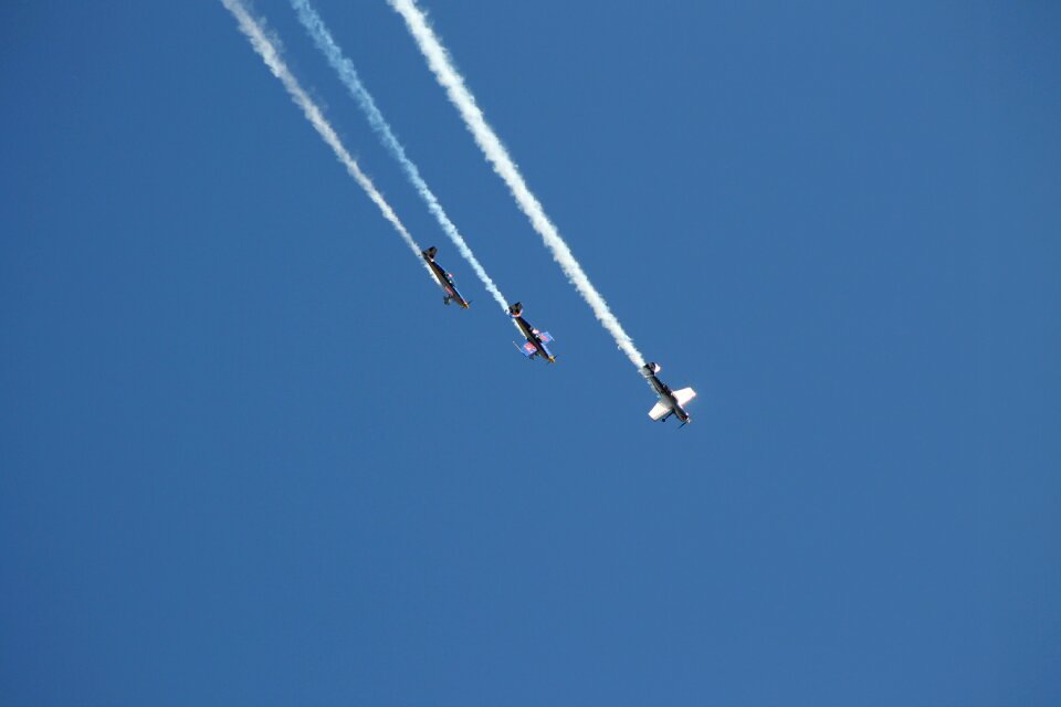 Red-bull red bull flyer