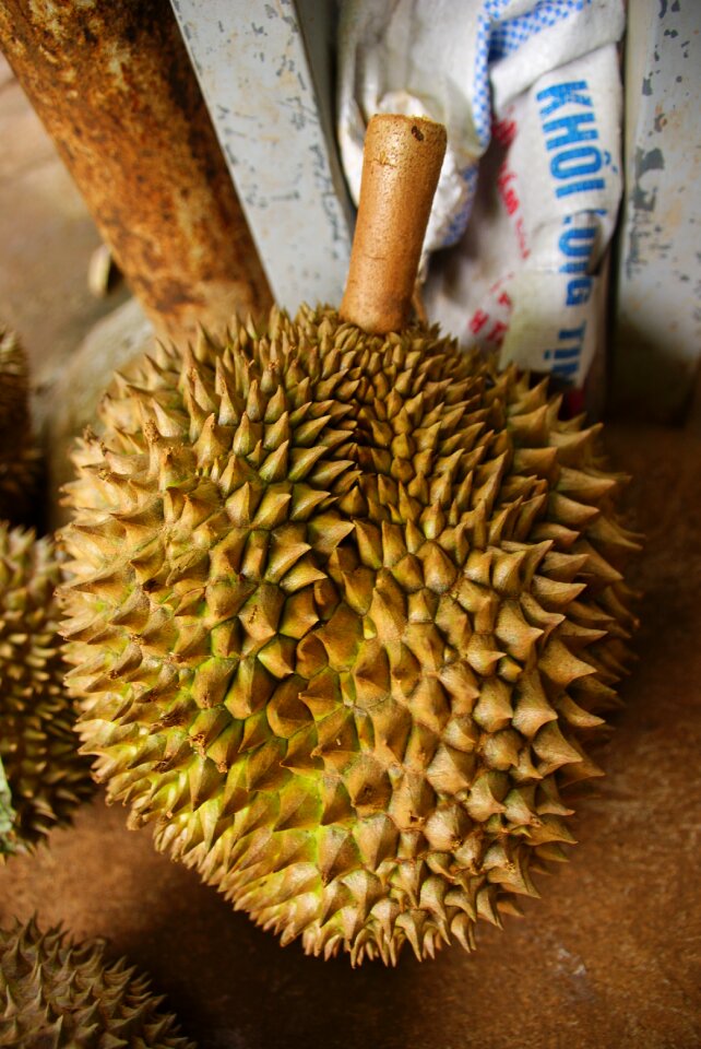Tropical asian market