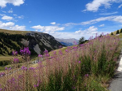 Nature alps france photo