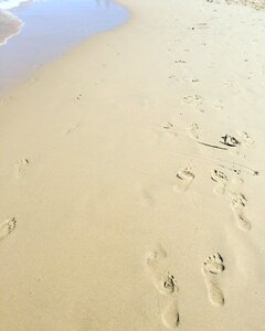 Beach water summer photo