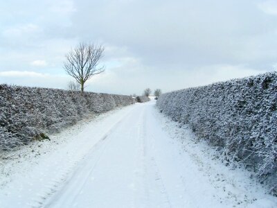 Landscape winter cold