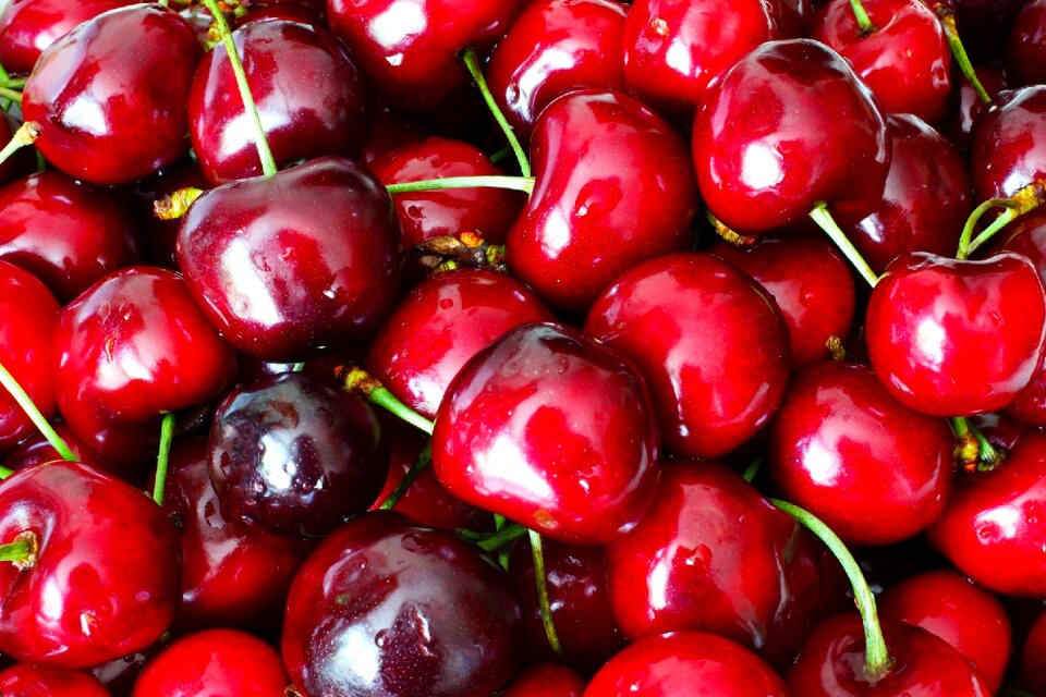 Summer dessert berry