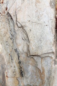 Texture rock nature