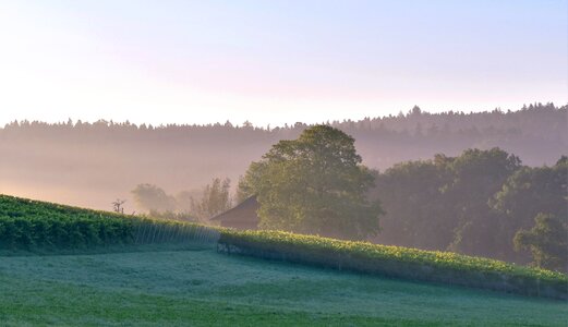 Outlook distant view meadow photo