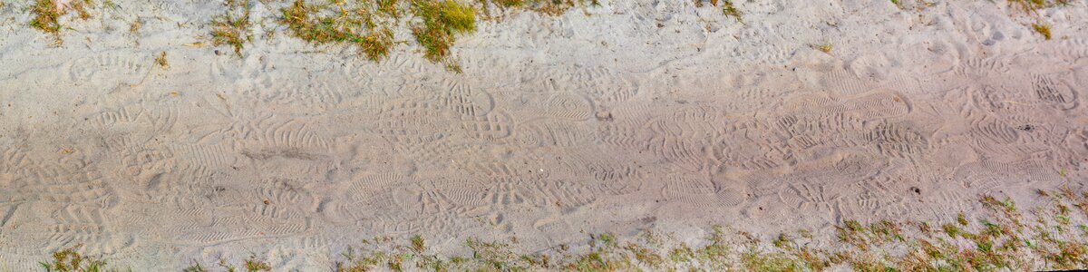 Reprint tracks in the sand footprint photo