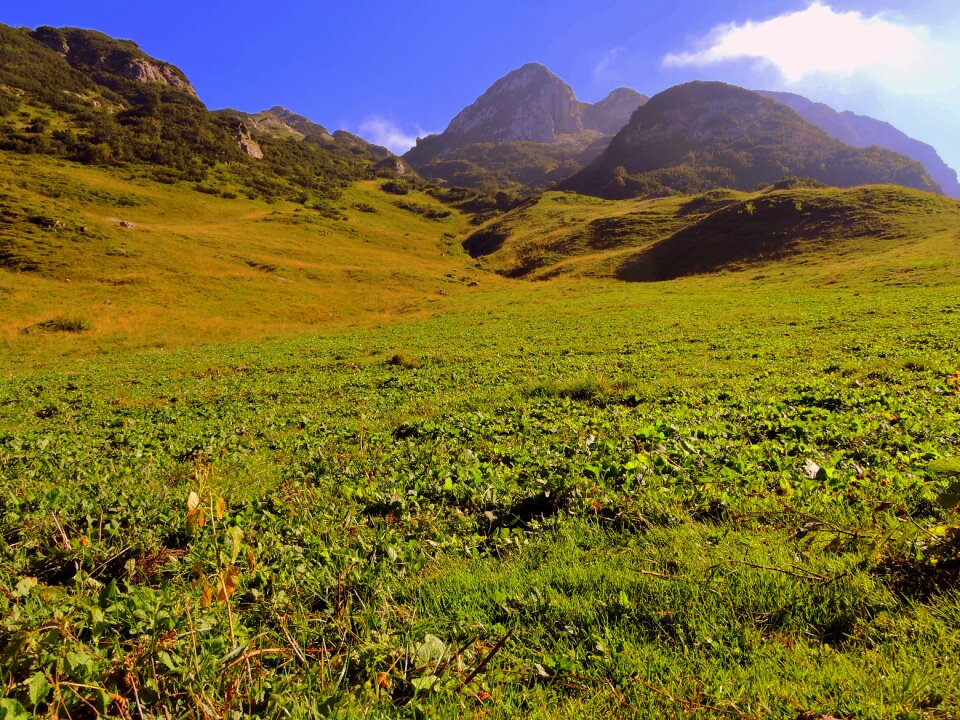 Grass landscape sky photo