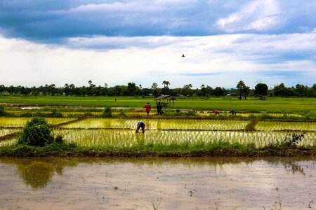 Field thailand tour