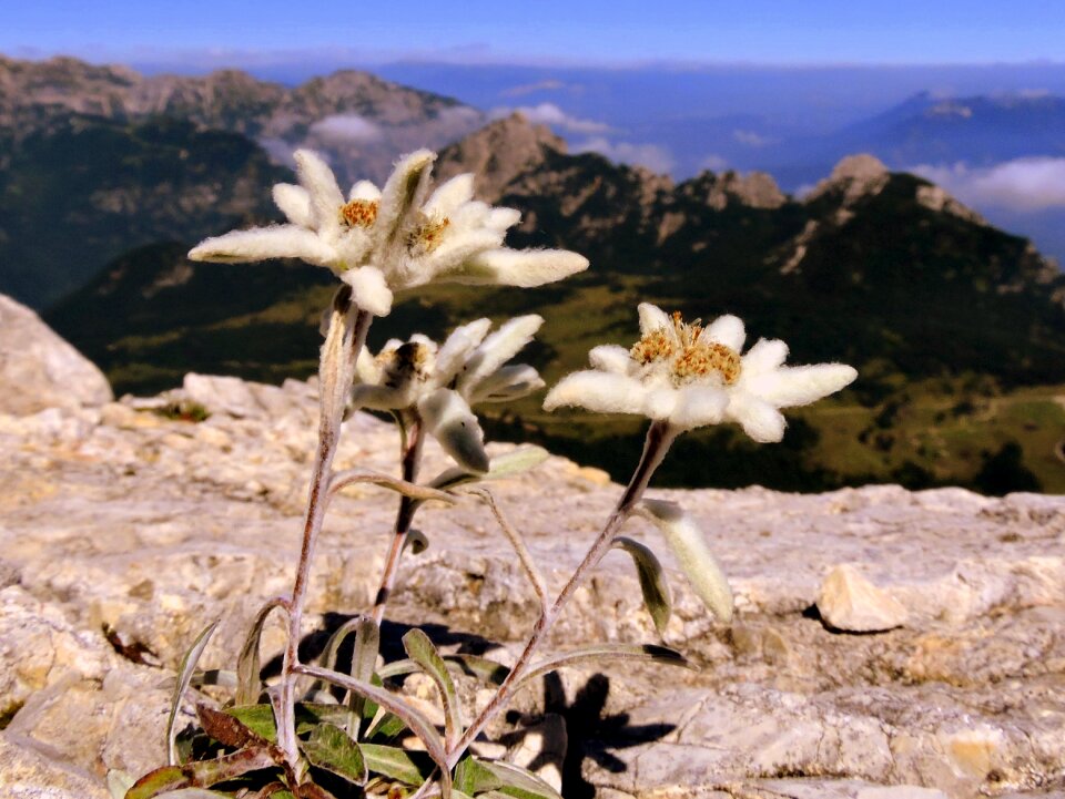 Mountain landscape beauty