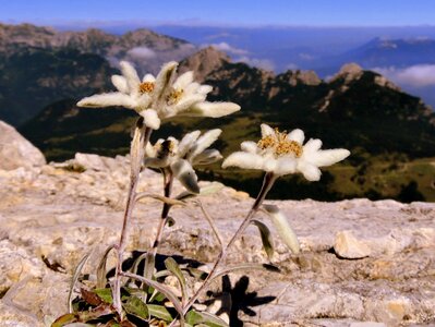 Mountain landscape beauty