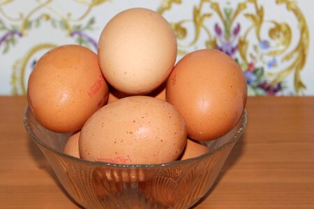 Nutrition food eggshell photo