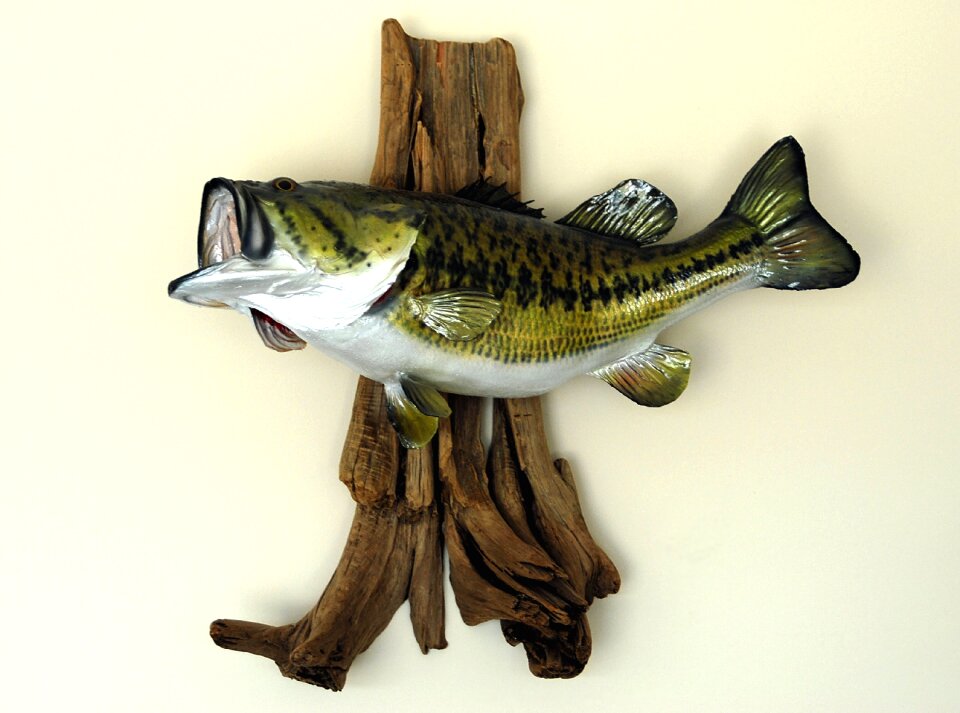 Taxidermy fish fishing