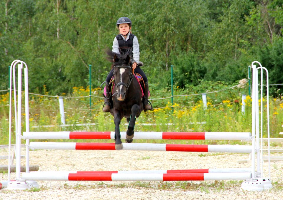 Fun for children konik