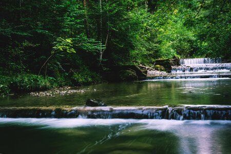 Nature flow green