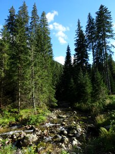 Nature poland the national park