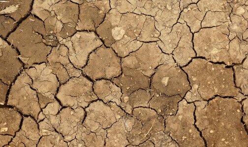 Dry earth land photo