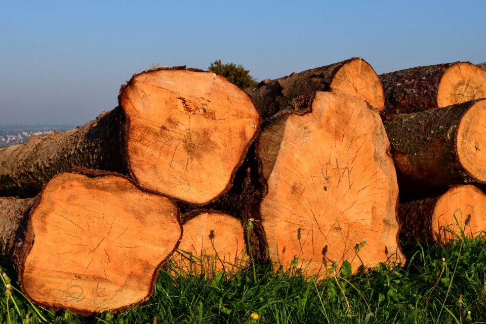 Nature sawn firewood