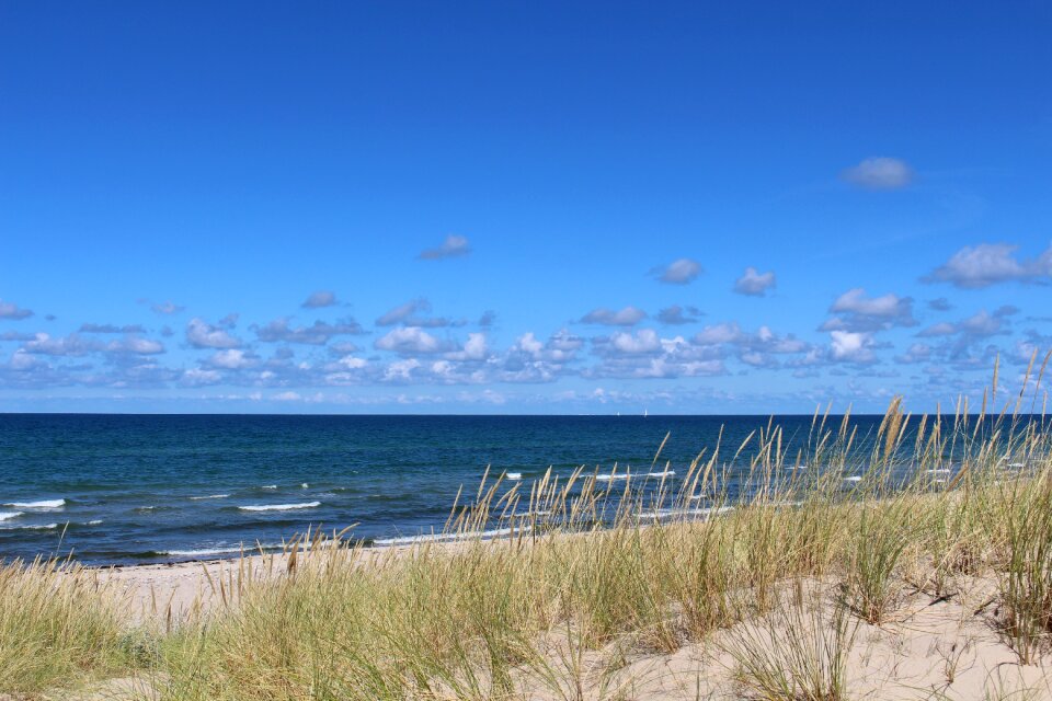 Coast nature water