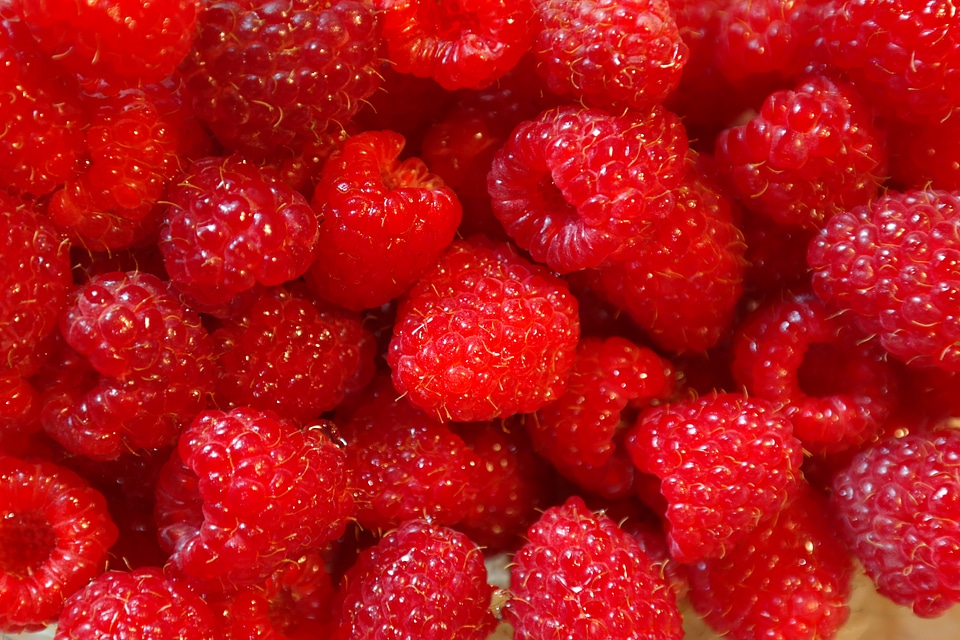 Berries vitamins sweet