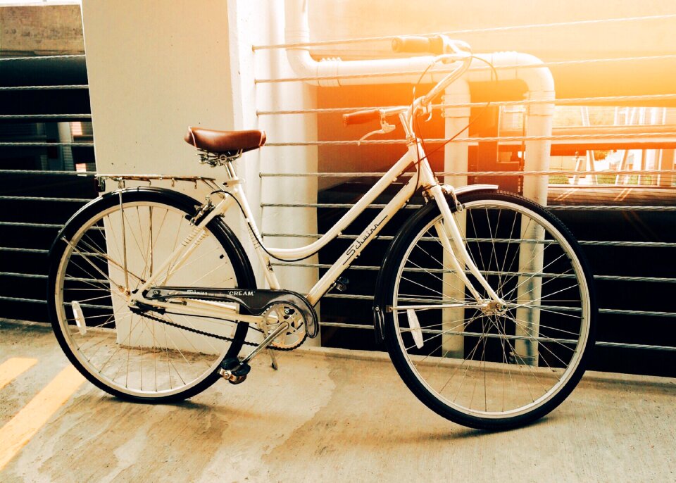Sport brown bike