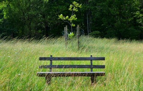 Wind bench wooden bench photo