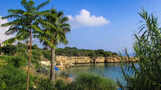 Kapparis cyprus tourism