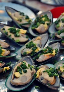 Food delicious fish