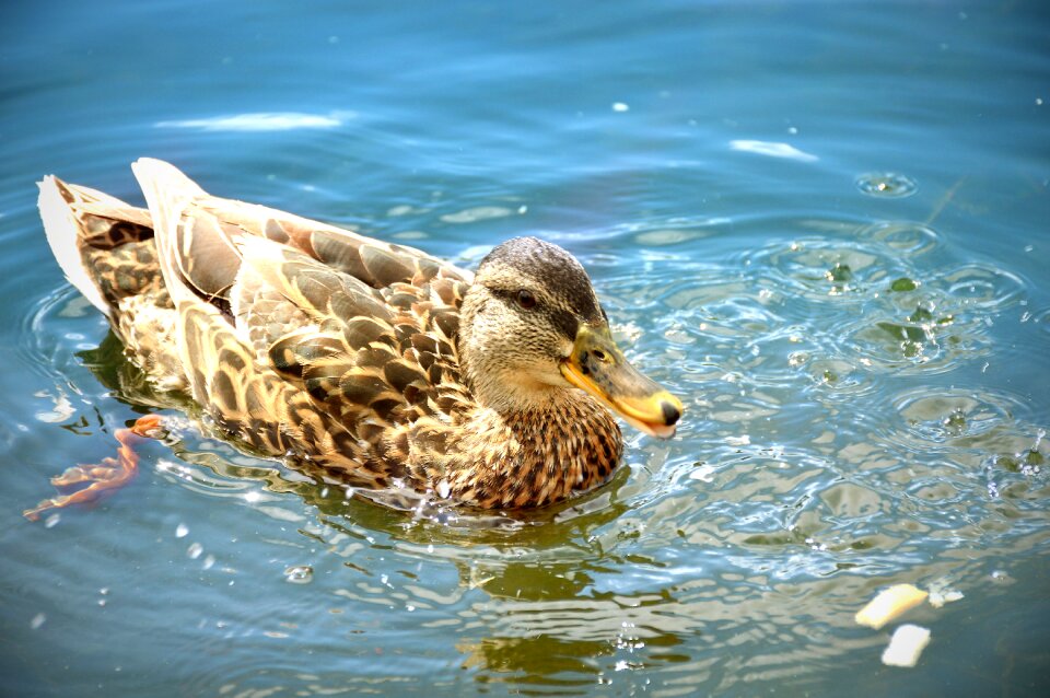 Summer vacation nature