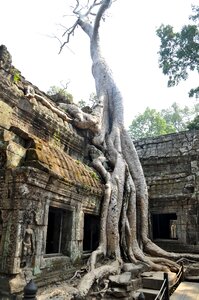 Temple complex history sculpture