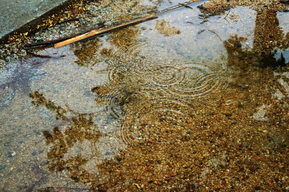 Pool reflection sediment