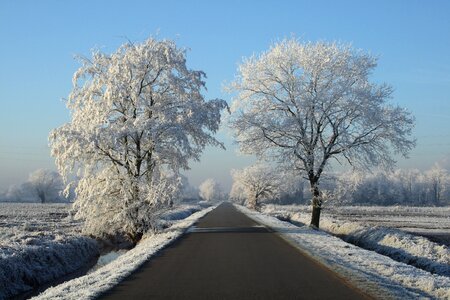 Winter landscape freeze snow landscape