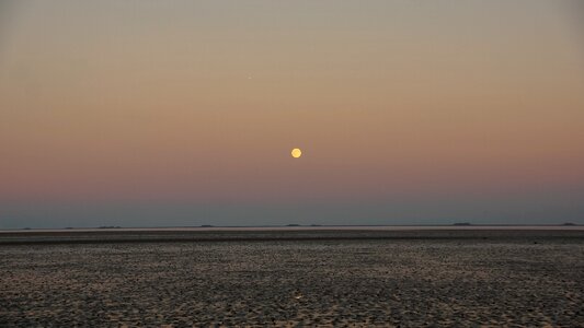 Evening night moon