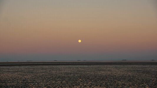 Evening night moon photo