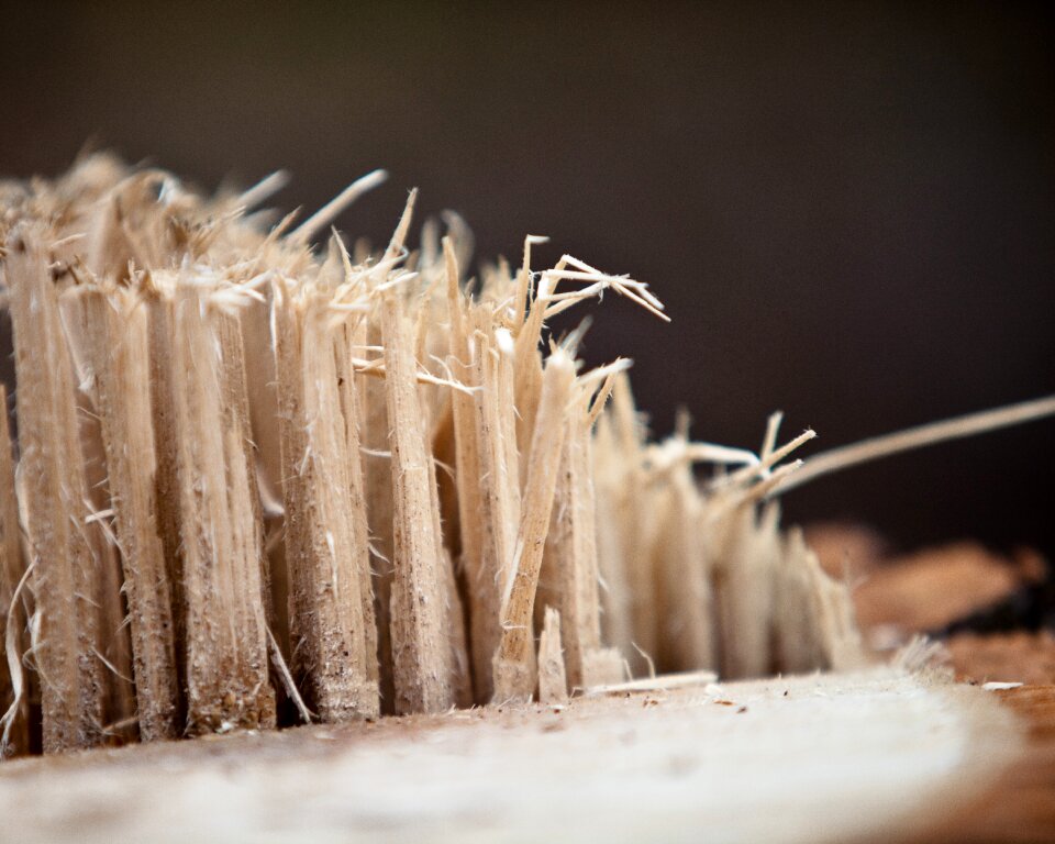 Nature broken cutting