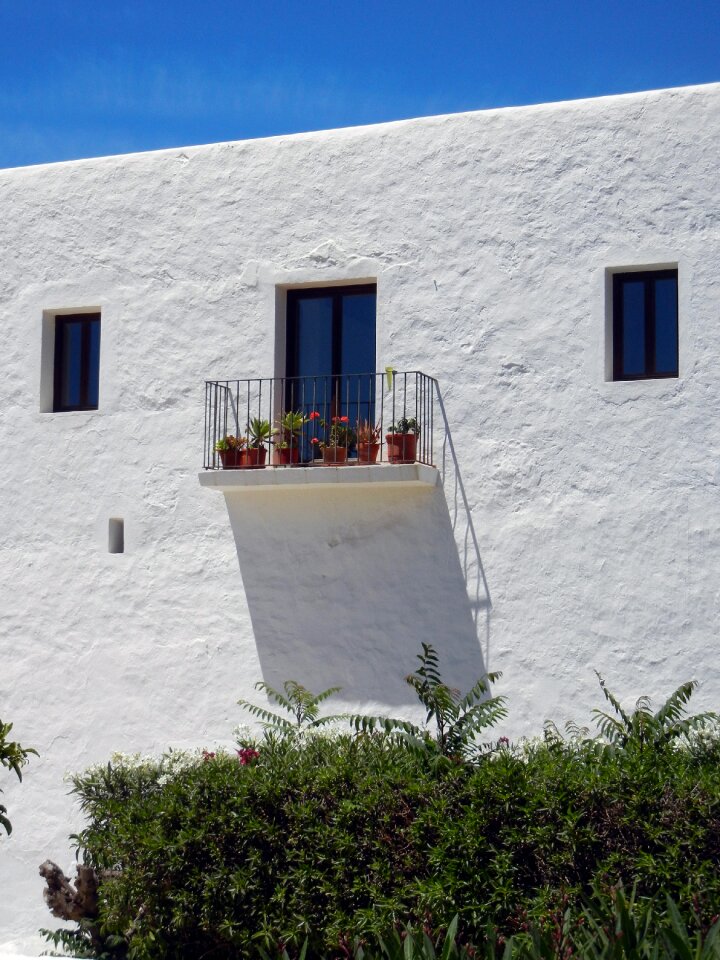 Shadow sun hedge
