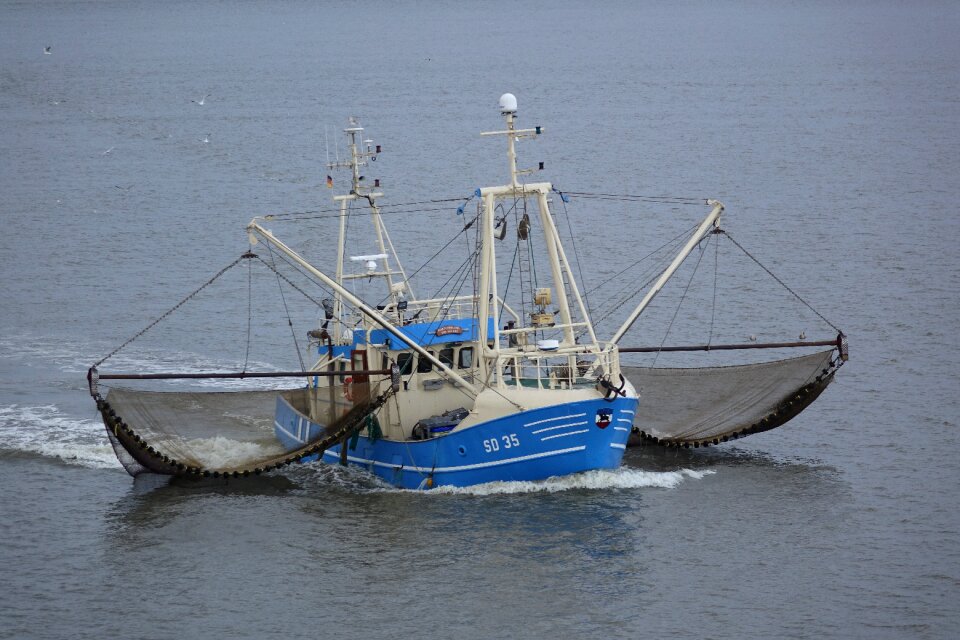 Ship fishing vessel web