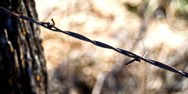 Wire metal freedom photo