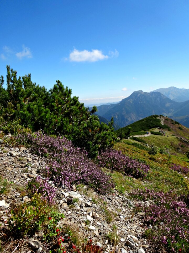 Landscape nature vegetation mountain